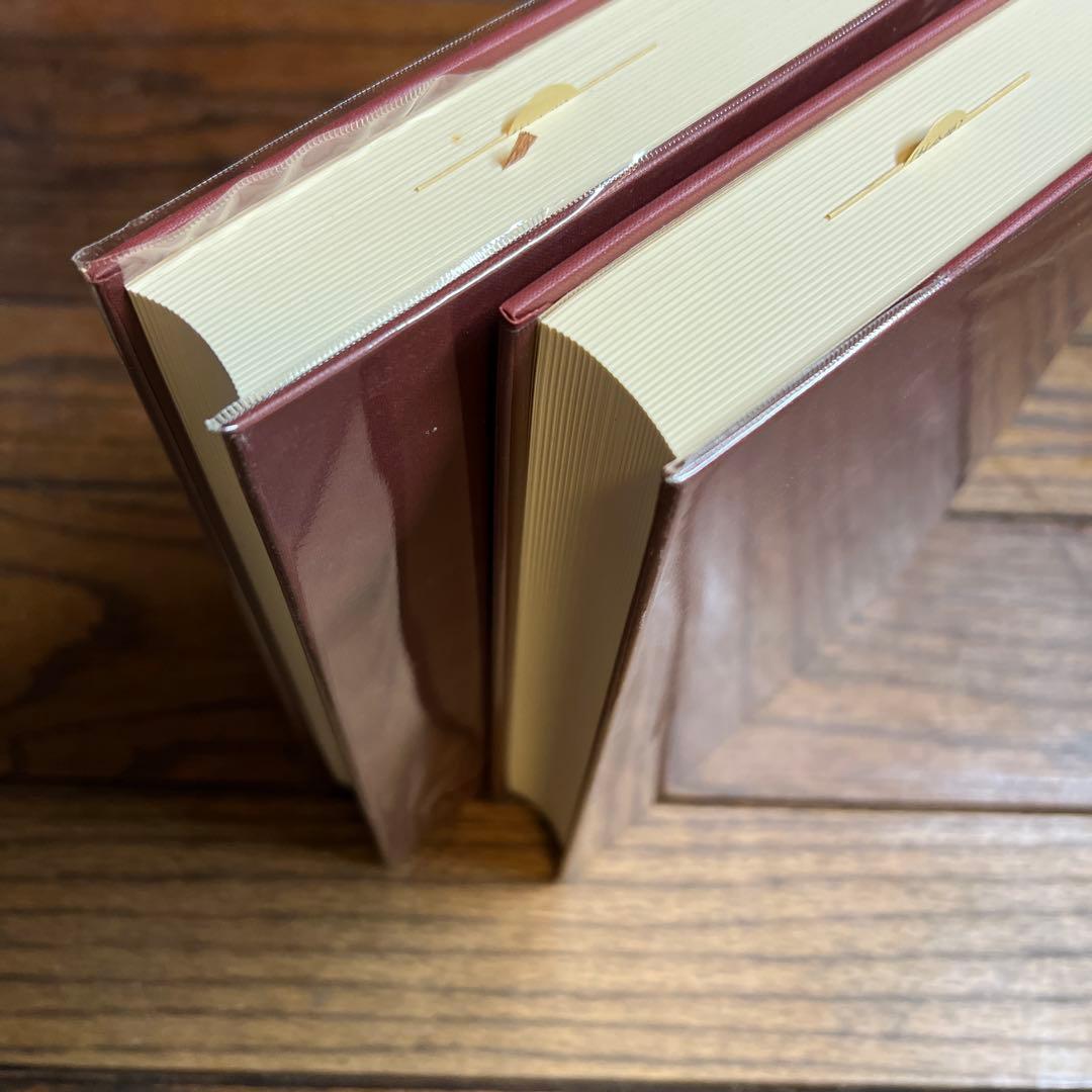 ジンメル 社会学 : 社会化の諸形式についての研究 上下巻セット