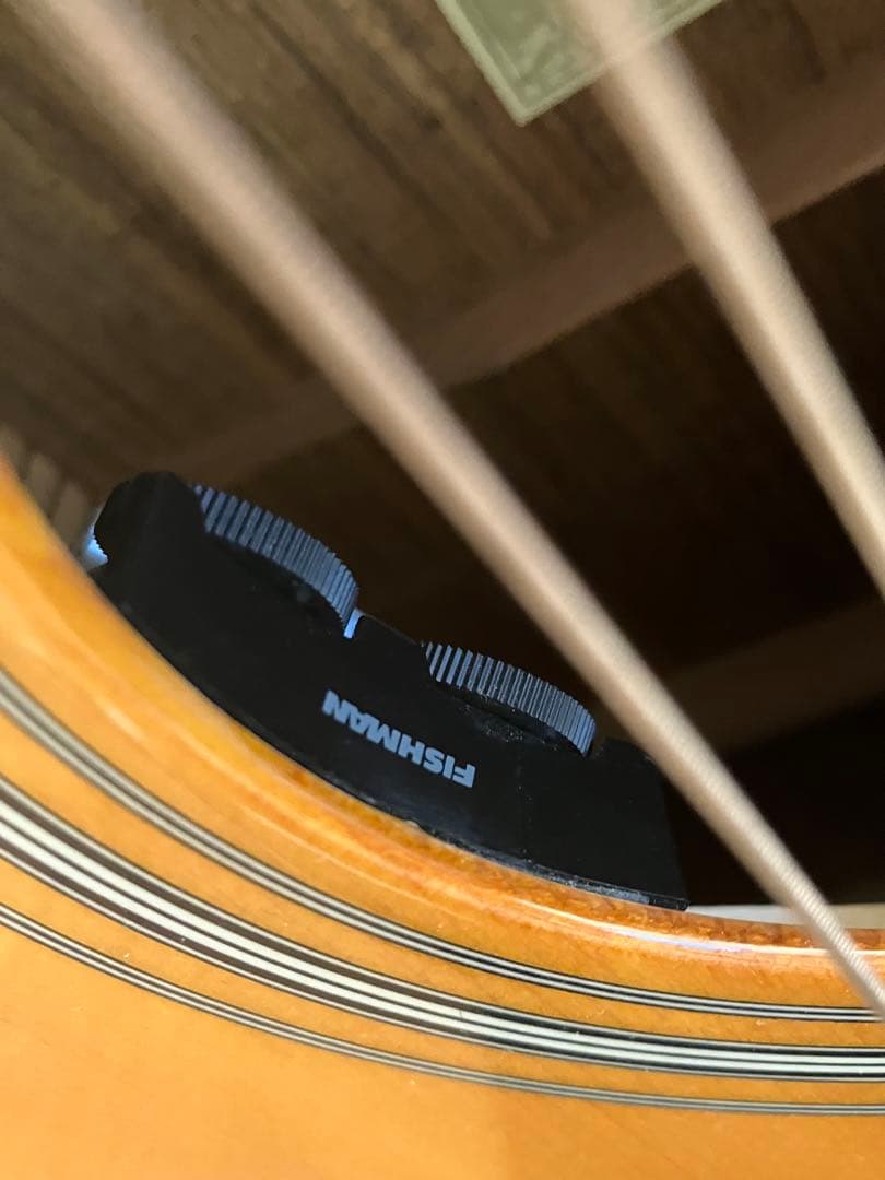 James J-450D/SPL VNT アコースティックギター Guitar