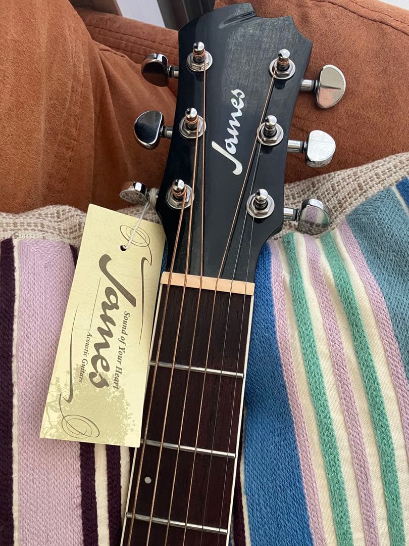 James J-450D/SPL VNT アコースティックギター Guitar