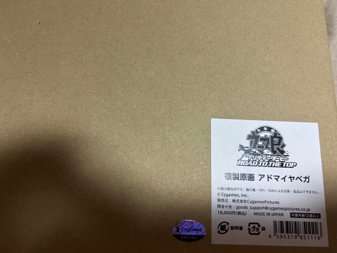 ウマ娘プリティーダービー ROAD TO THE TOP複製原画 アドマイヤベガ