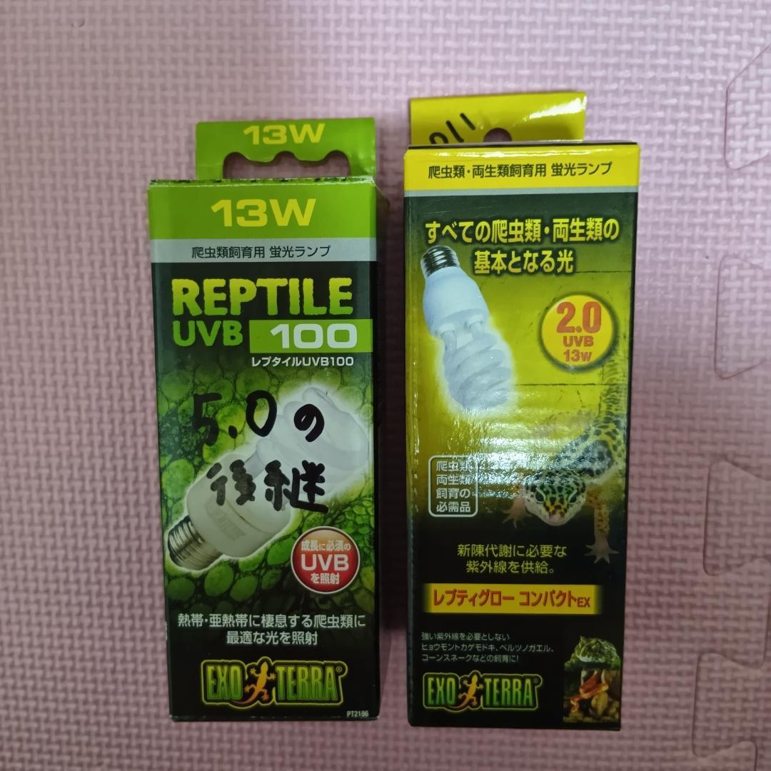 エキゾテラ　グラステラリウム　ナノ　GEX