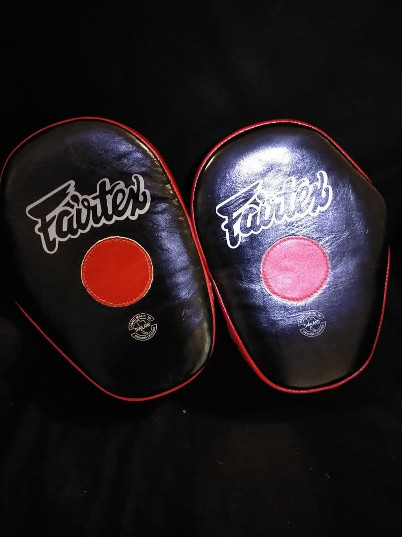 フェアテックス Fairtex パンチミット