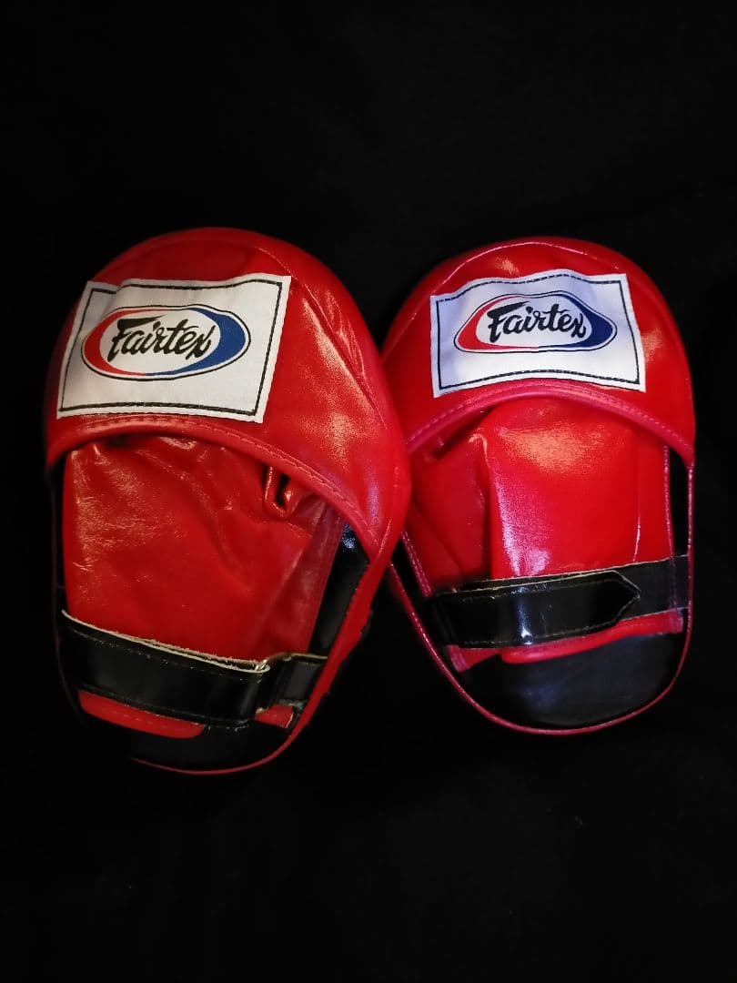 フェアテックス Fairtex パンチミット