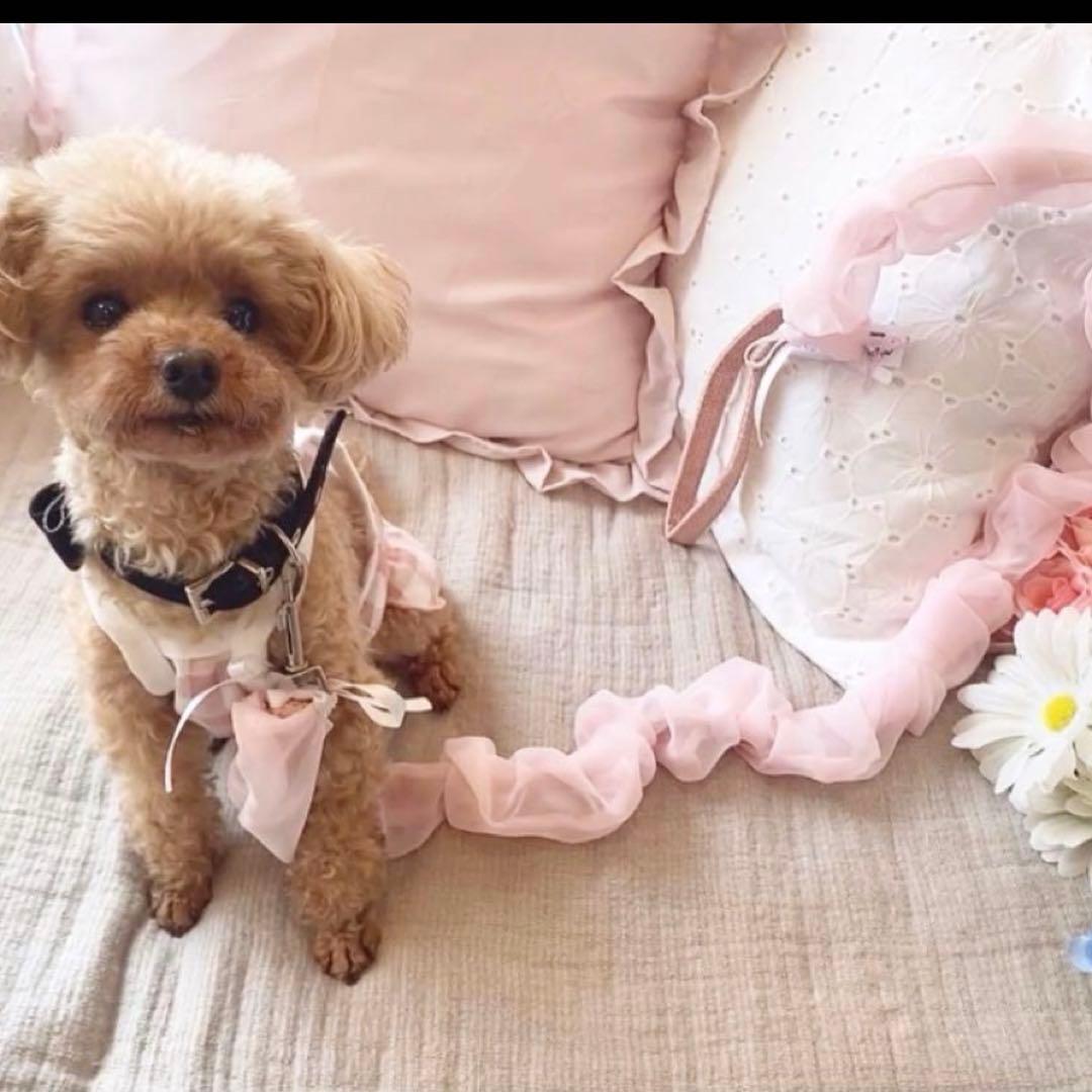 1167.くしゅくしゅリードカバー　チェック赤　ハンドメイド犬おさんぽ