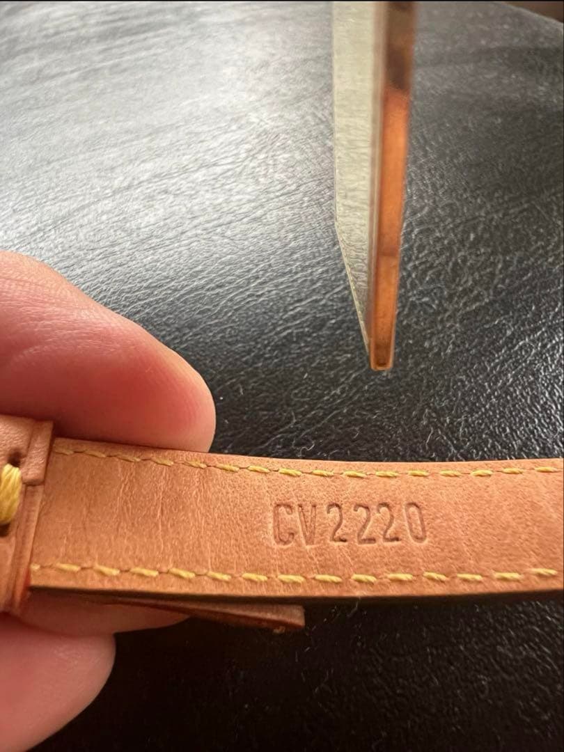 【小型犬用】LOUIS VUITTON 首輪 リード コリエ・バクスターXS