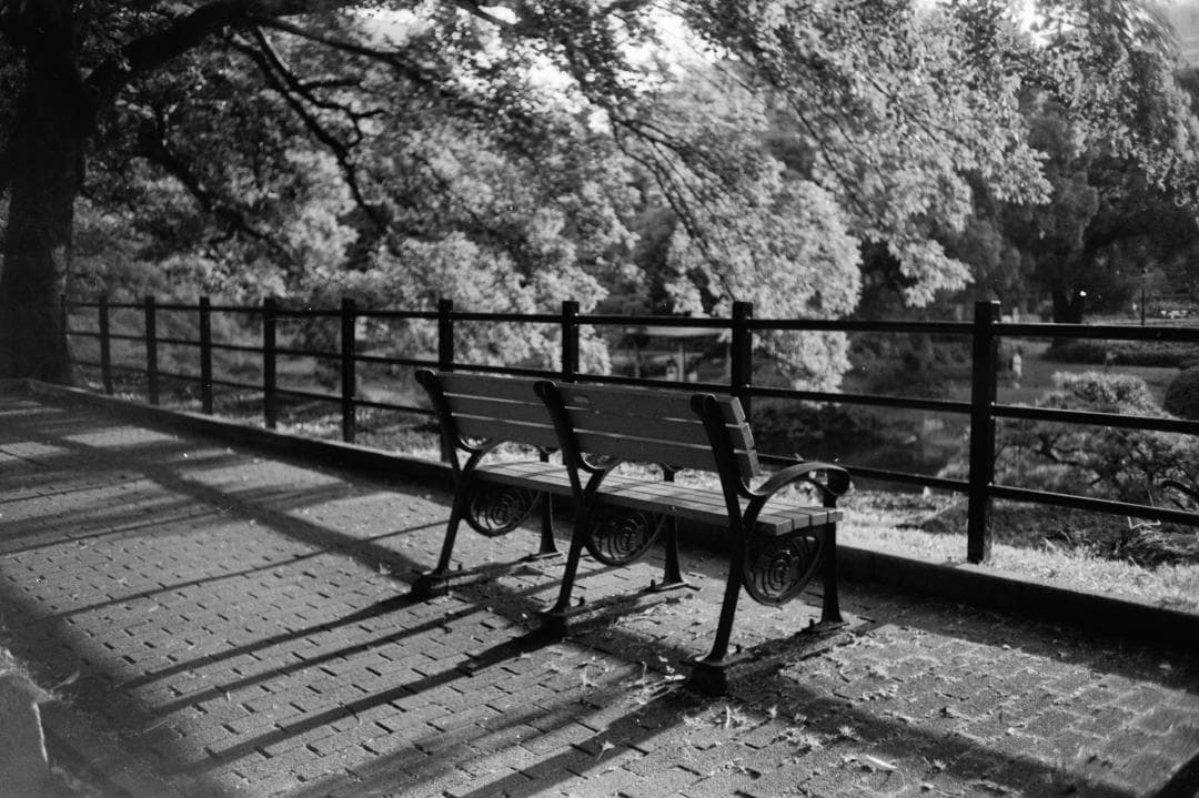 【実用•珍品•作例あり】Topcor 35mm f2.8 + Nicca 5