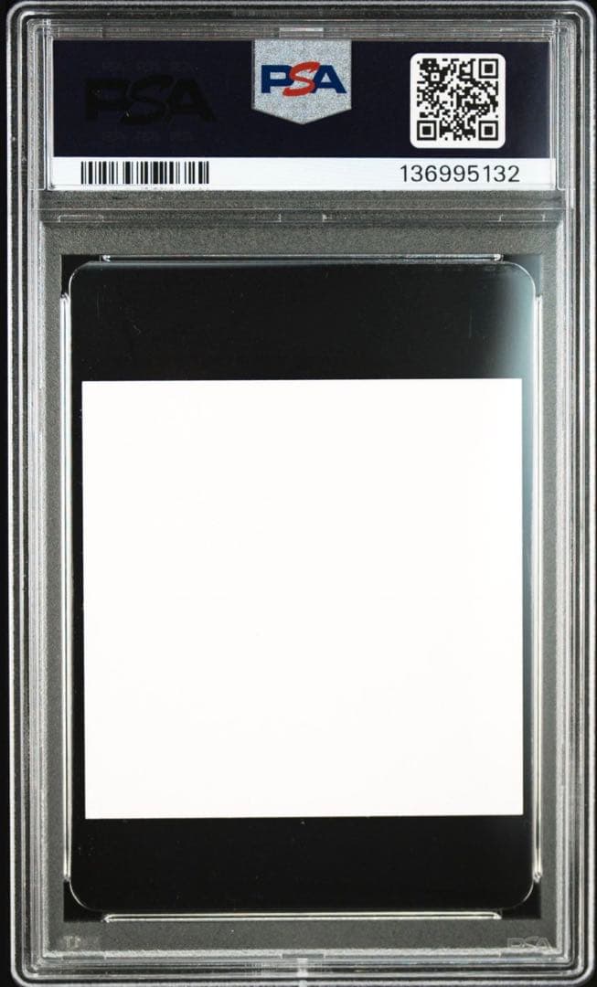 PSA10 ポケモン展覧会　化石博物館　10days in 長崎　ステッカー