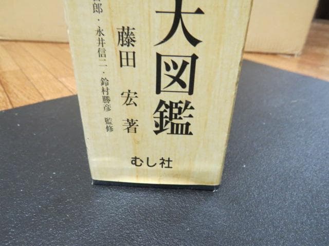 世界のクワガタ虫大図鑑　最終！！むし社　ビークワ　クワガタ