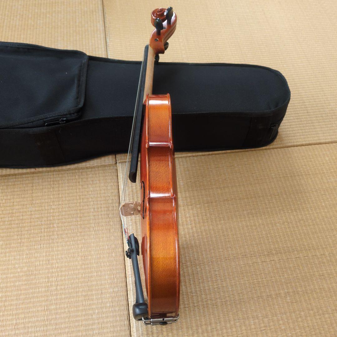 Andreas Eastman VL80　3/4 2010