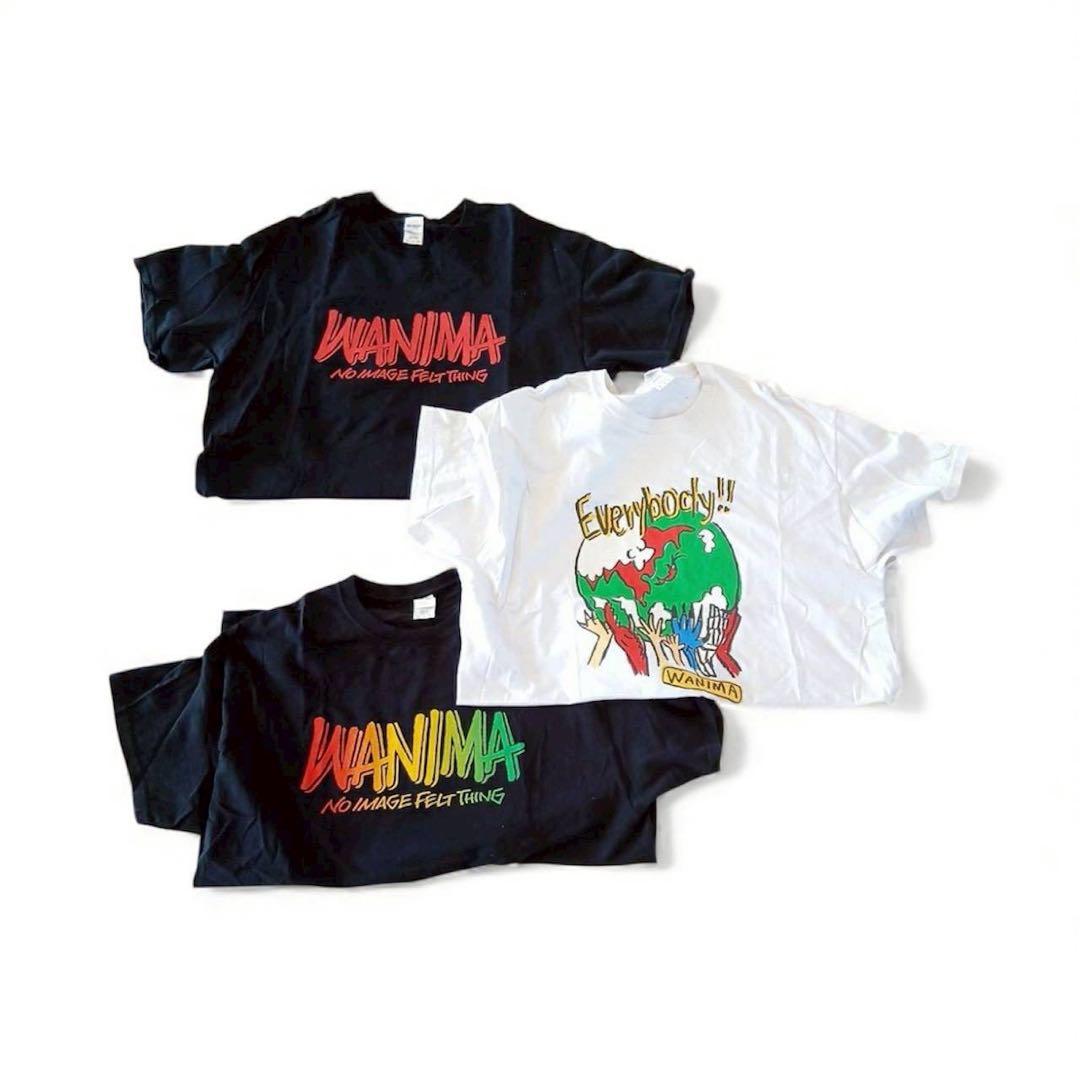 WANIMA ワニマ トレーナー ロンT Tシャツ 11点 セット XL L