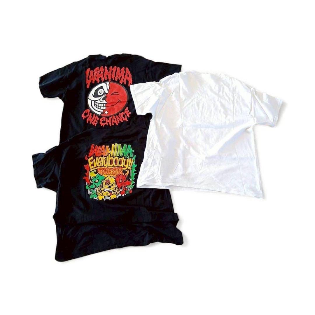 WANIMA ワニマ トレーナー ロンT Tシャツ 11点 セット XL L