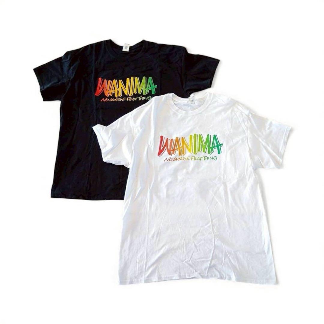 WANIMA ワニマ トレーナー ロンT Tシャツ 11点 セット XL L