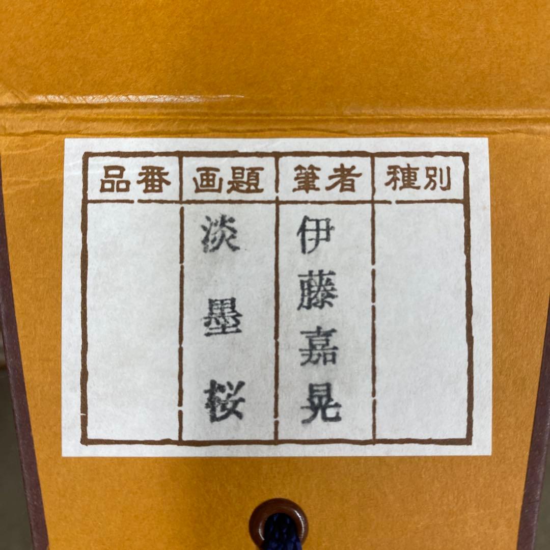 美品 掛け軸 伊藤嘉晃作 淡墨桜図 共箱 さくら 縁起物 美術年鑑掲載