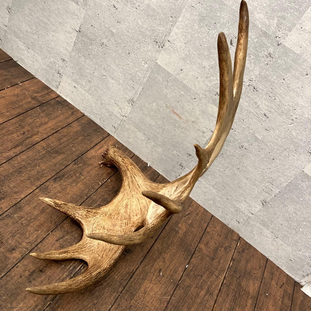 昭和レトロ ヘラジカ へら鹿 鹿の角 置物 オブジェ インテリア レトロ