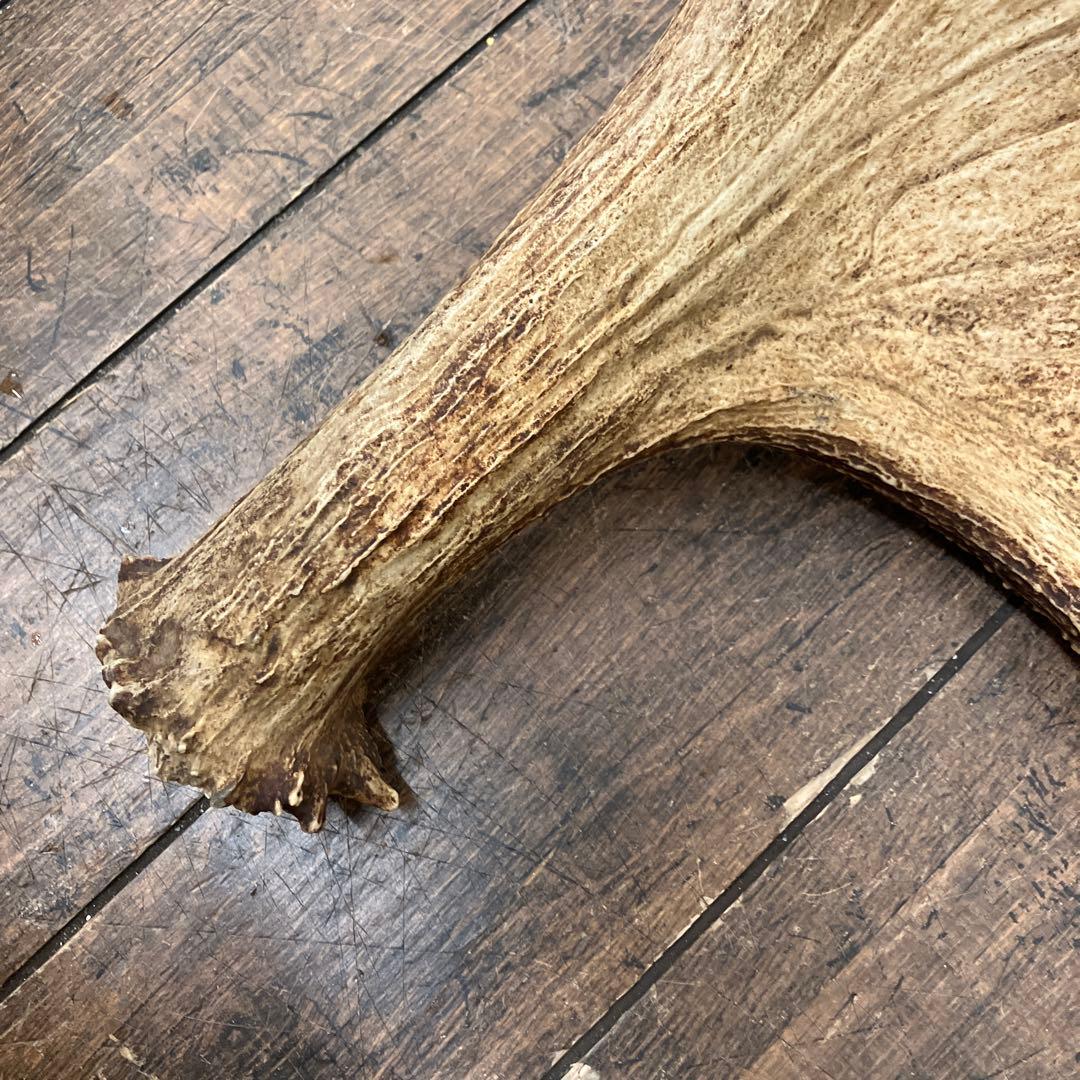 昭和レトロ ヘラジカ へら鹿 鹿の角 置物 オブジェ インテリア レトロ