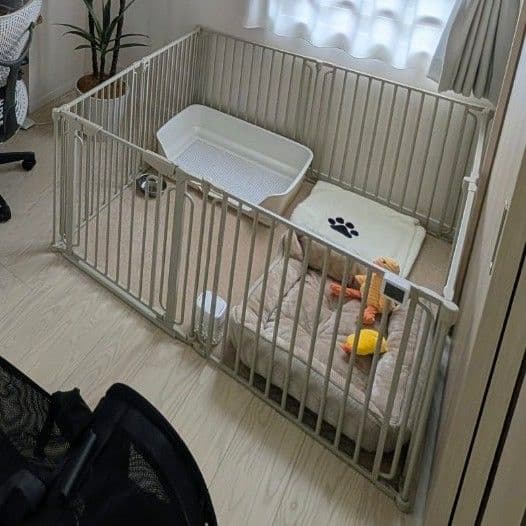 タンスのゲン ペットサークル 8枚セット 高さ65cm