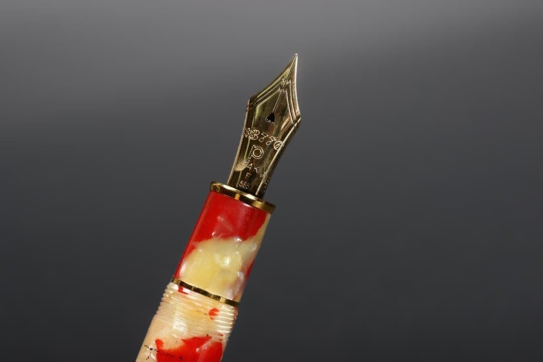 PLATINUM プラチナ 万年筆 #3776 セルロイド