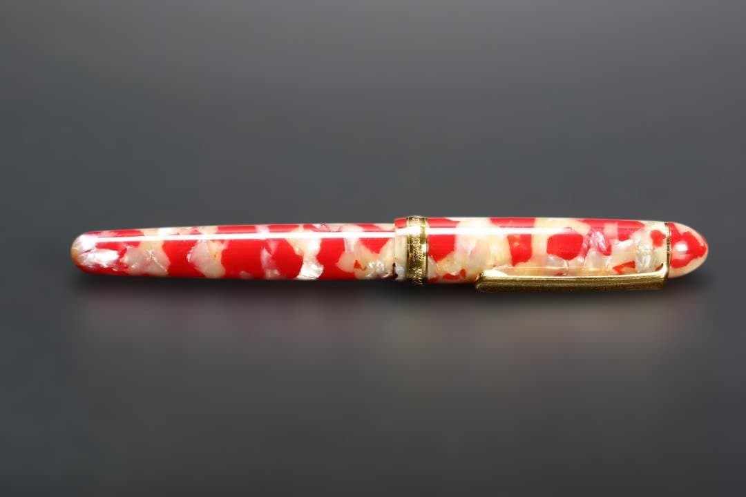 PLATINUM プラチナ 万年筆 #3776 セルロイド