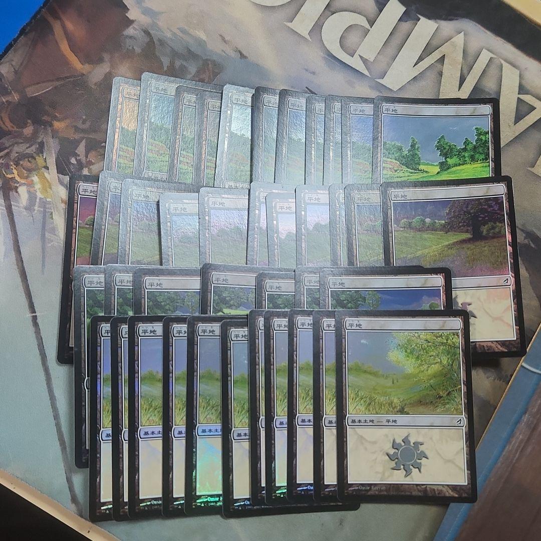 MTG ローウィン基本土地foil 日本語 167枚セット