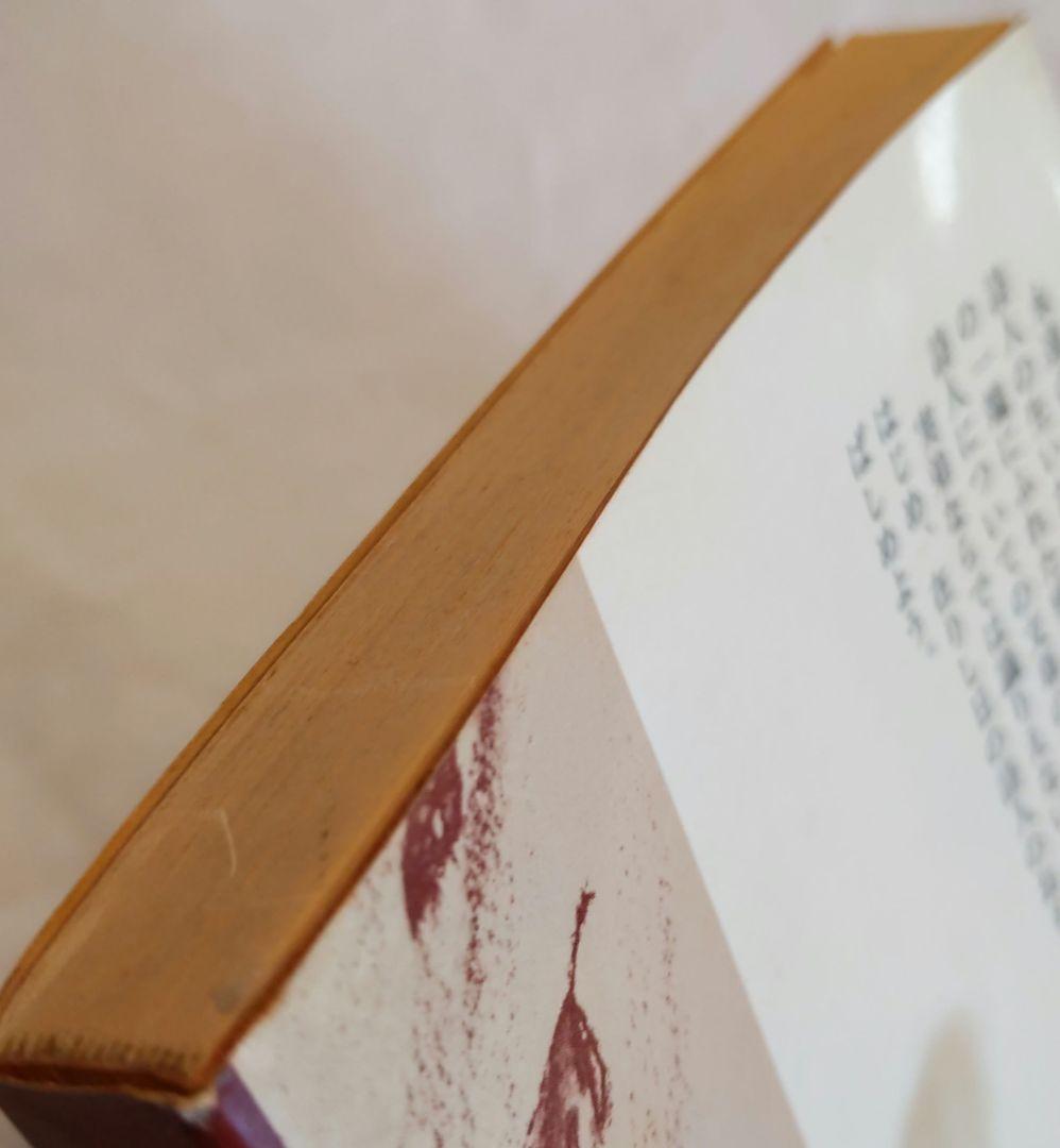 中原中也ノート. 中原思郎