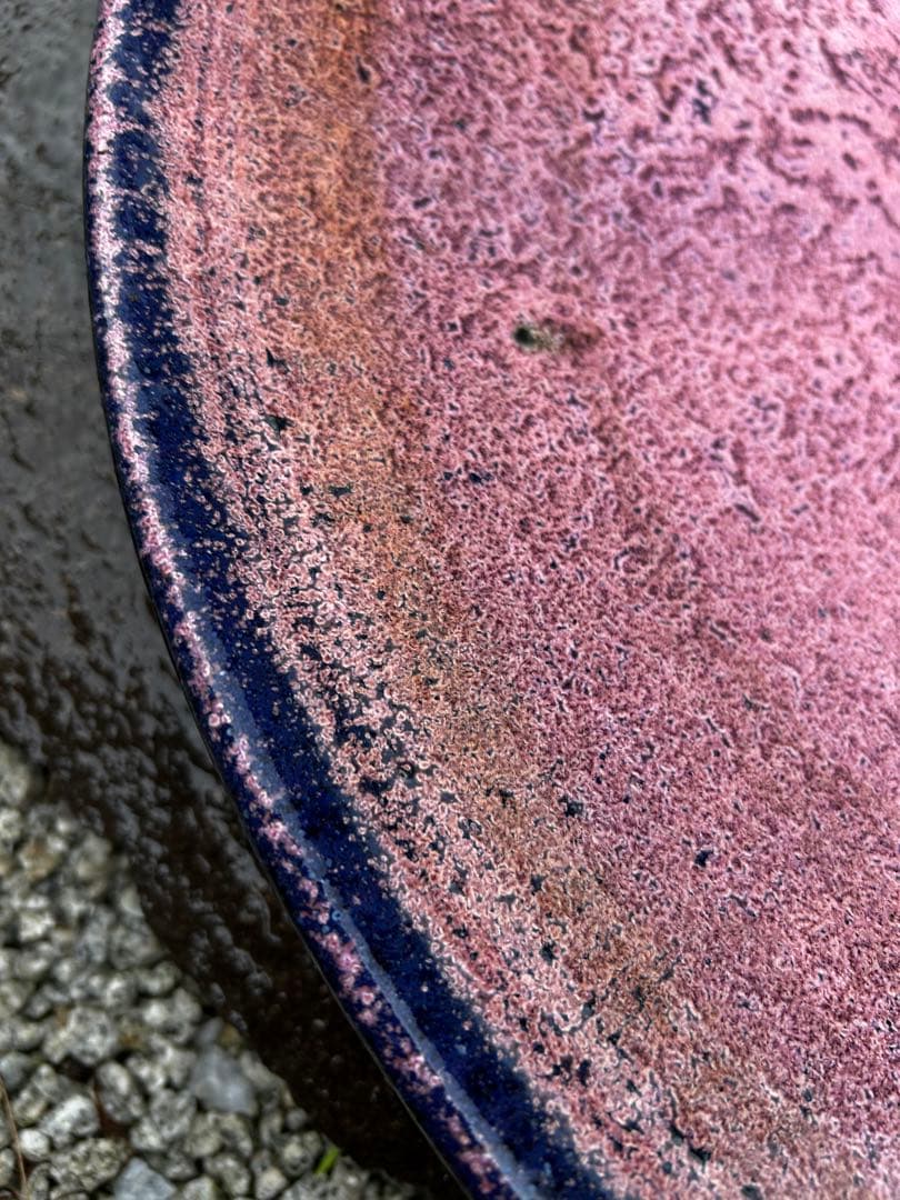 大皿　青とピンクの珍しい色合い　アンティーク