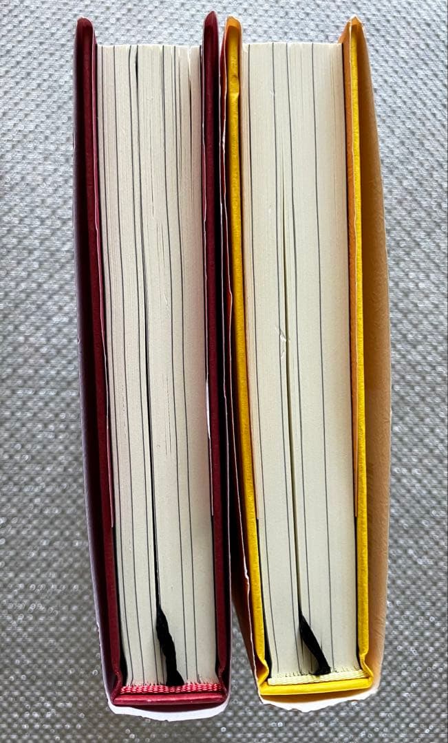 【2冊セット】振り子の法則リアリティ・トランサーフィン ヴァジム・ゼランド著