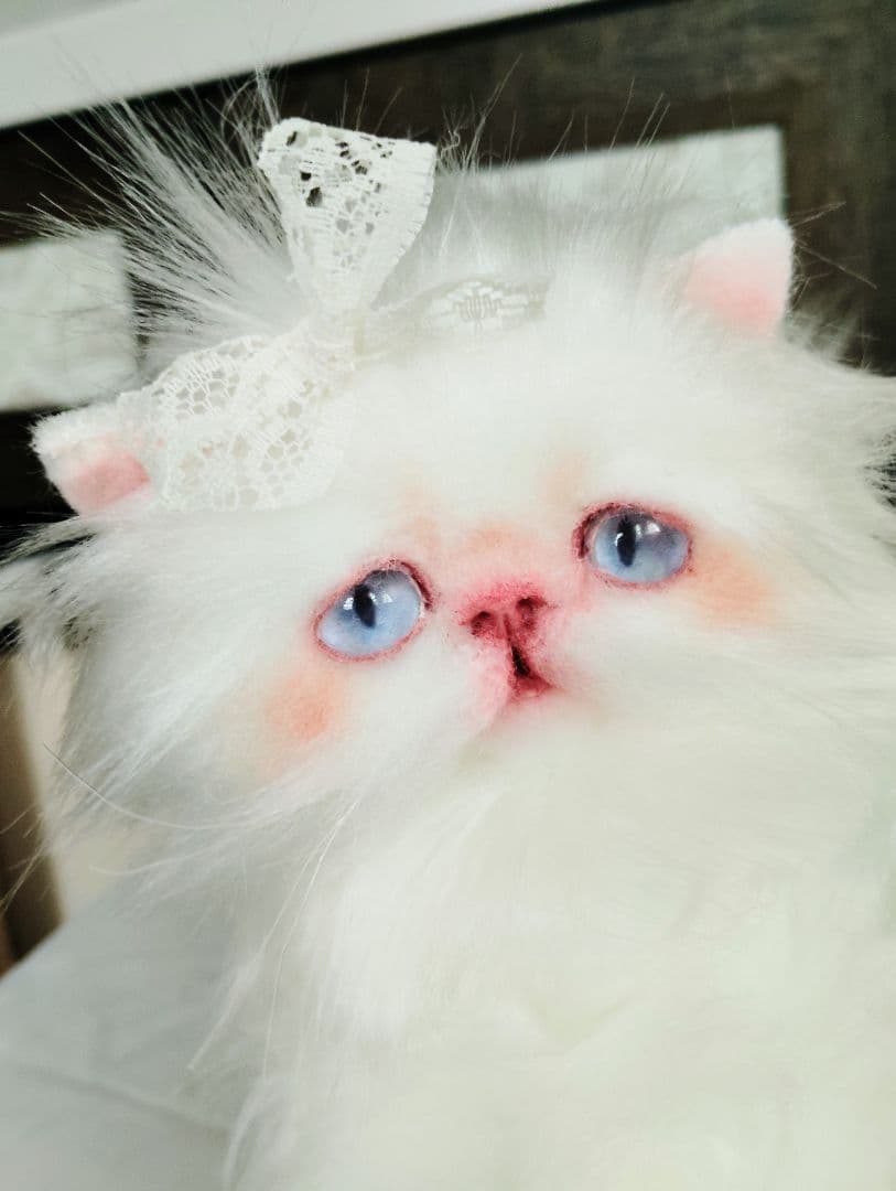 綺麗なオメメの女の子❤エキゾチック子猫ちゃん♡アートドール♡ぬいぐるみ♡