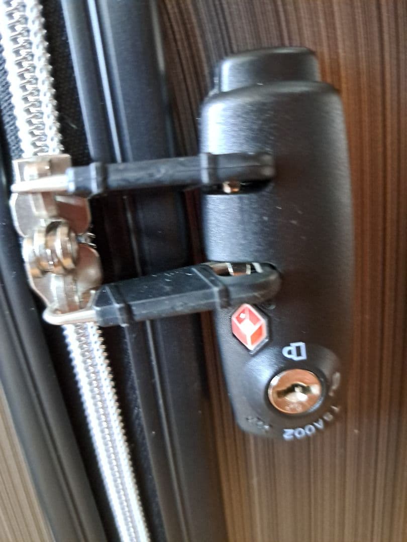 【新品】ANA オリジナルキャリーケース　スーツケース　機内持ち込み　メタリック