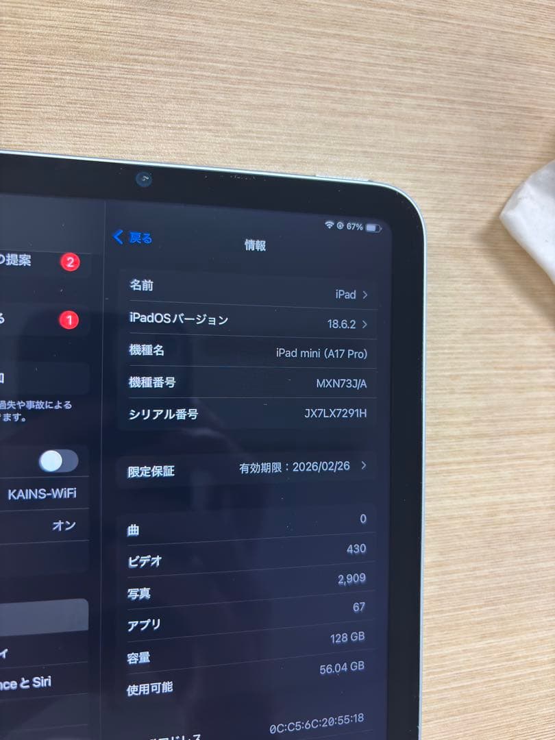 Apple iPad mini A17Pro ブルー　充放電22回