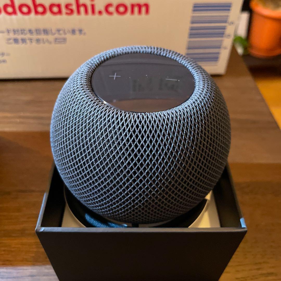 Apple Pod mini 2台セット