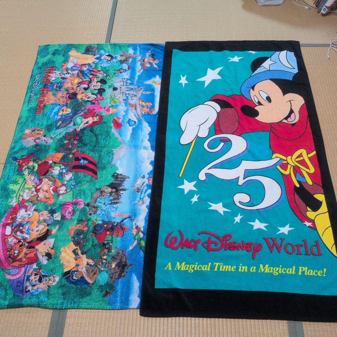 ディズニーワールド　タオルケット3枚セット