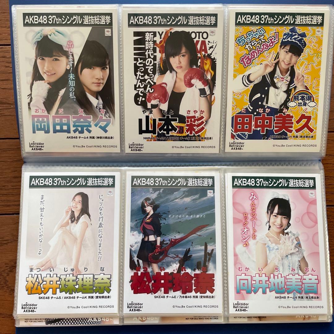 AKB ラブラドールレトリバー 劇場 生写真