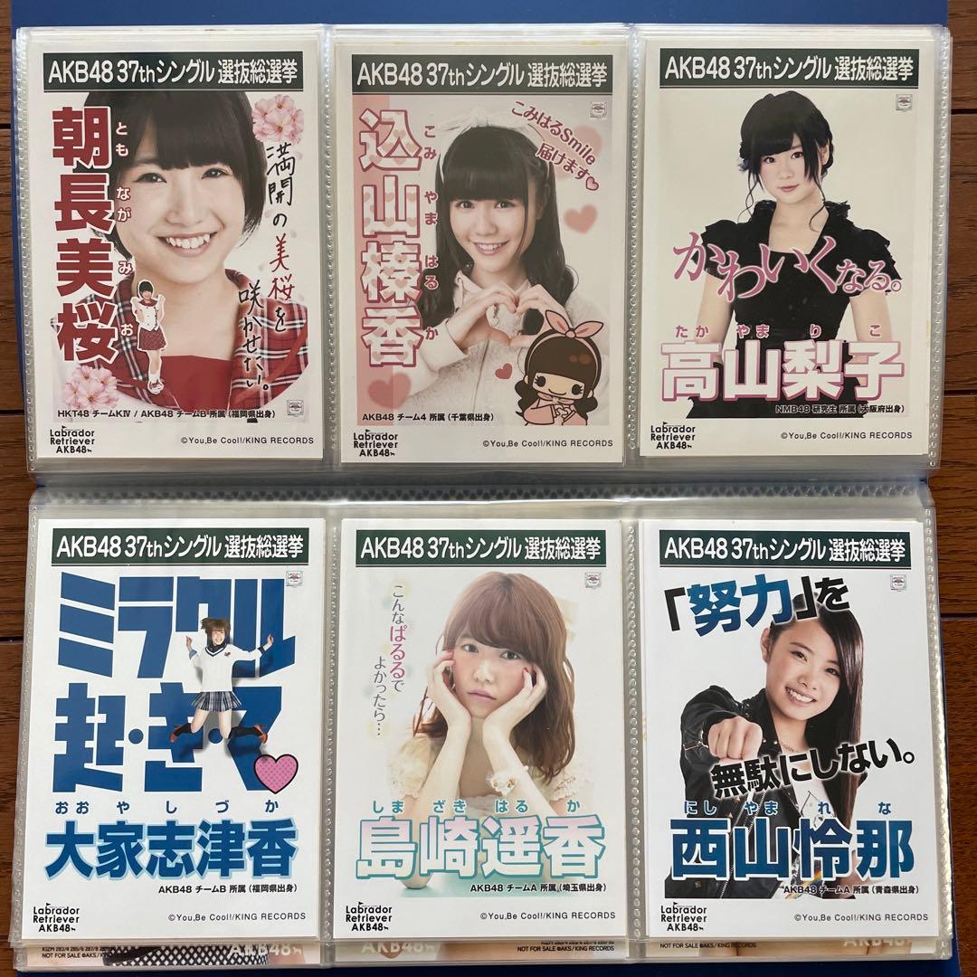 AKB ラブラドールレトリバー 劇場 生写真