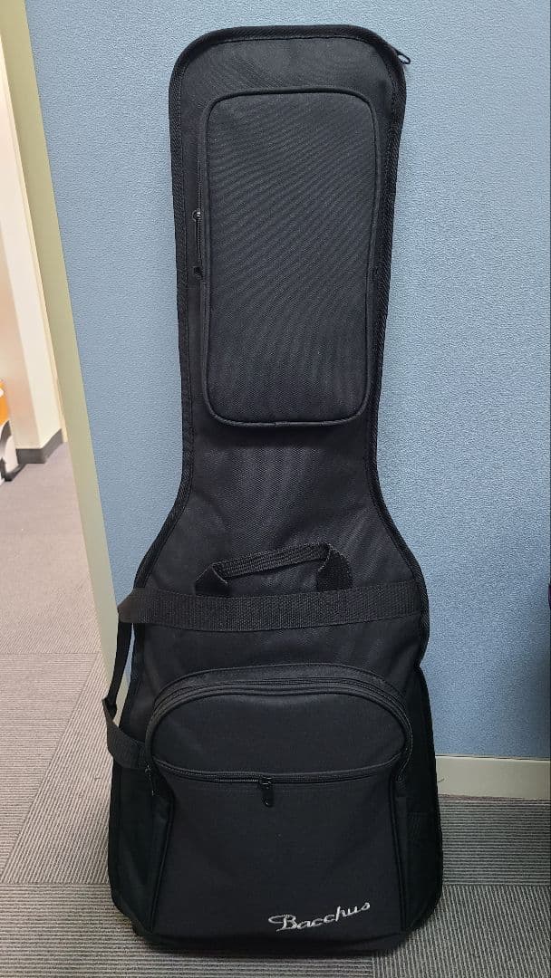 Bacchus　TACTICS-STD/RSM 3TS 　テレキャス