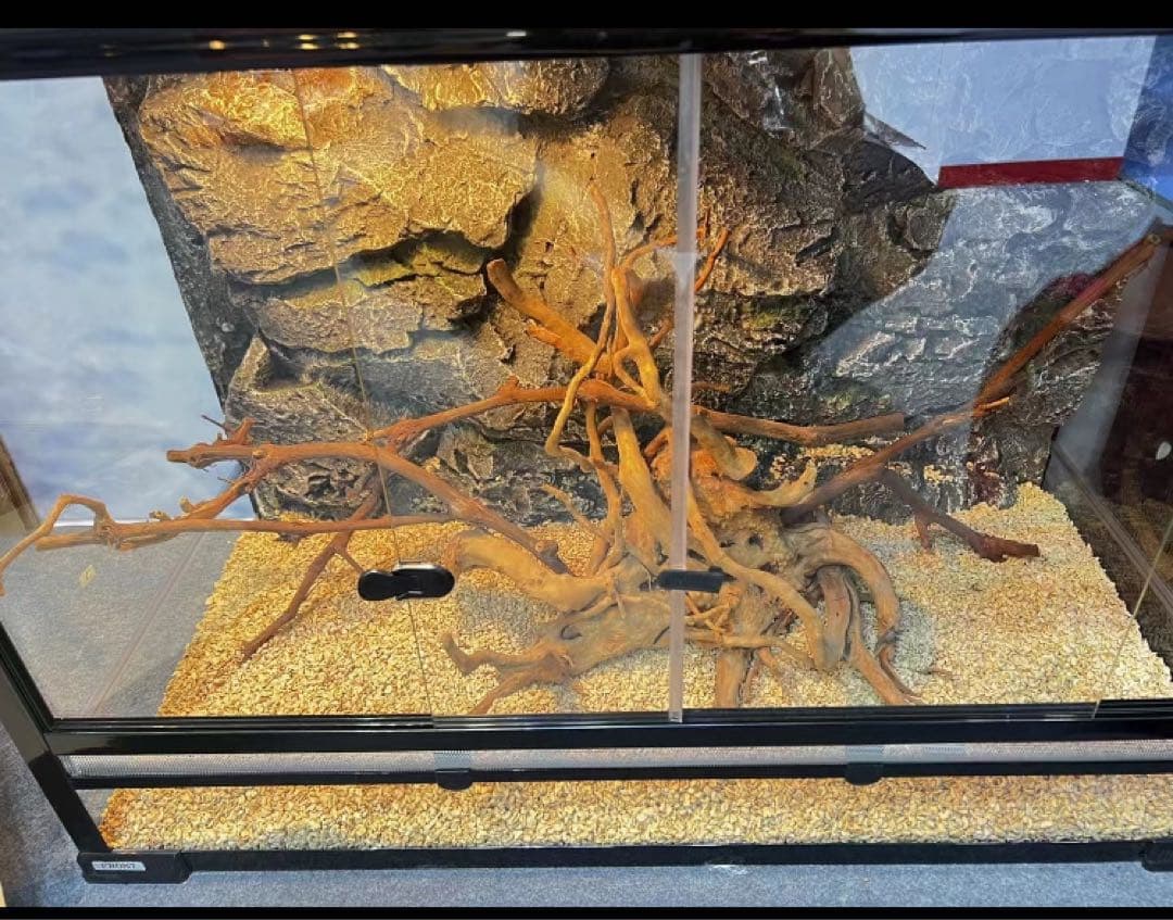 爬虫類用品卸 爬虫類飼育ガラスケージ両生類飼育ケージ603030(cm引取り限定