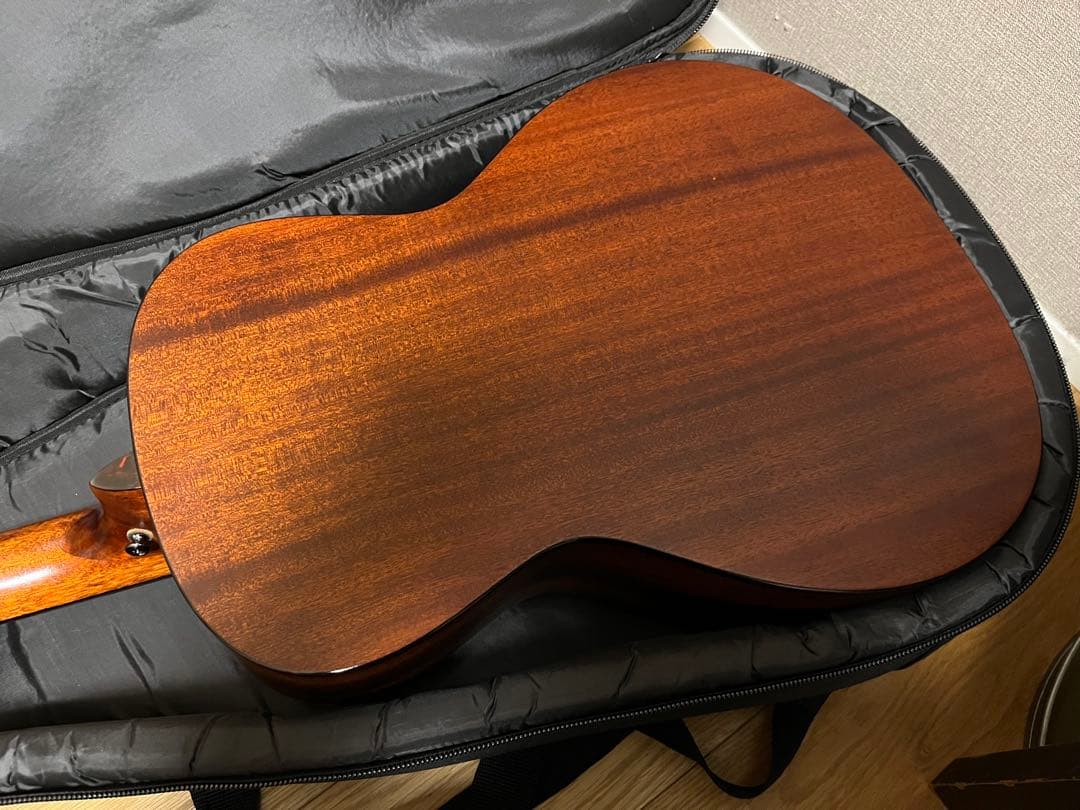 仕様変更★ Eastman E1-00SS★オール単板★調整済み