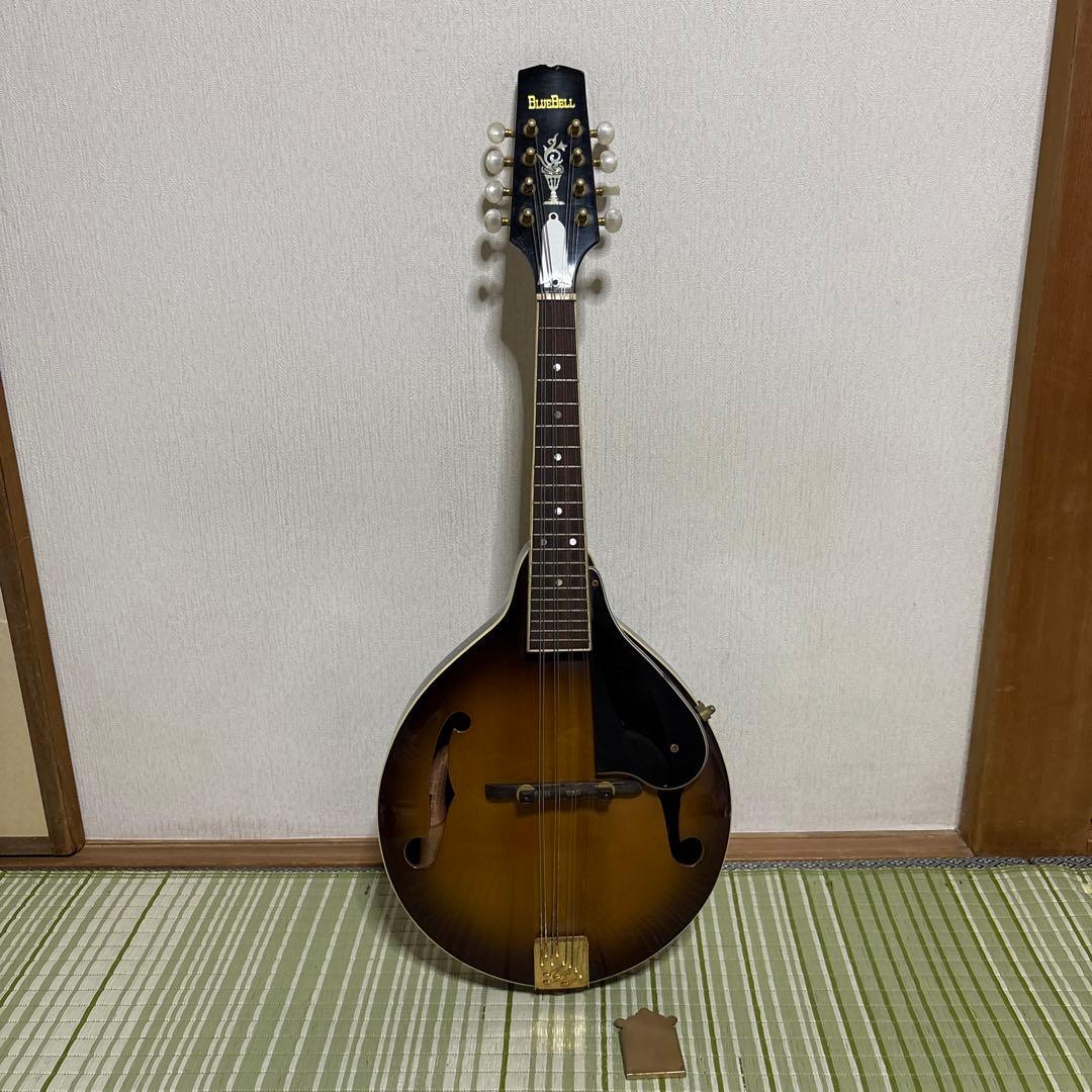 BlueBell ブルーベル フラット マンドリン ビンテージ　ギター　楽器