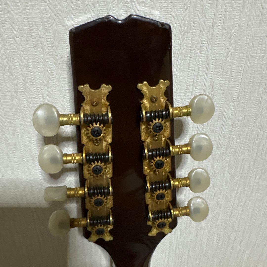 BlueBell ブルーベル フラット マンドリン ビンテージ　ギター　楽器