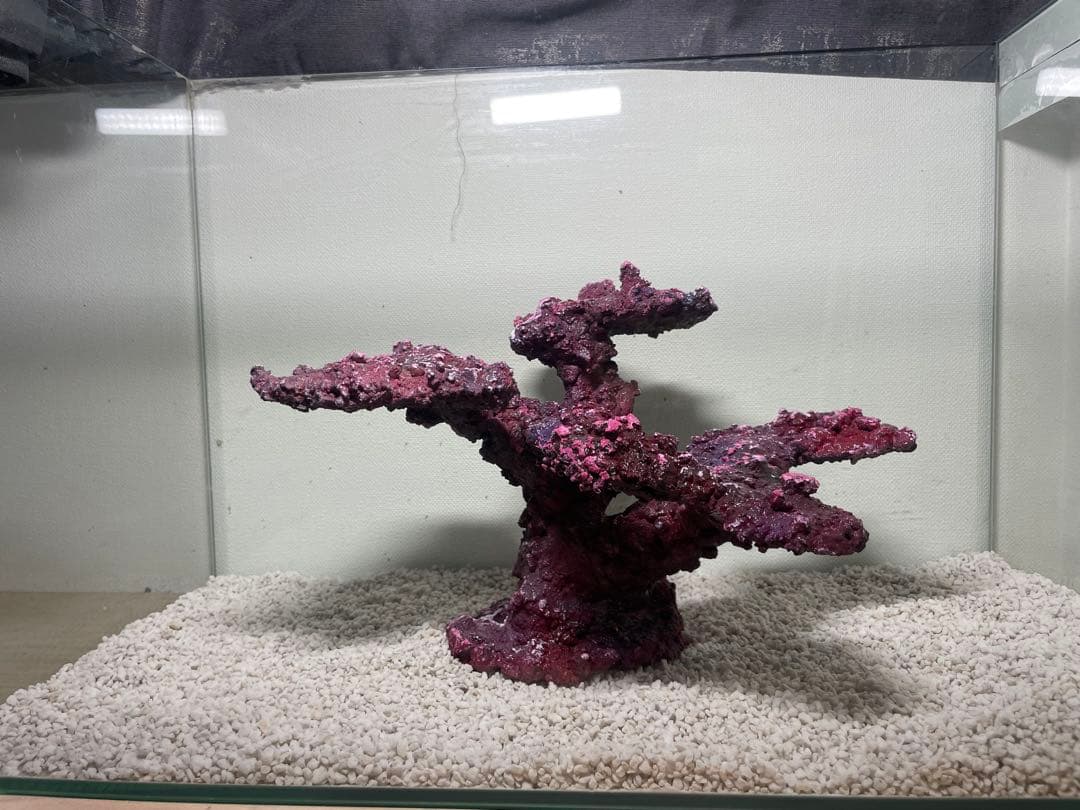 人工ライブロック RR60 アク抜き済み安心塗料使用