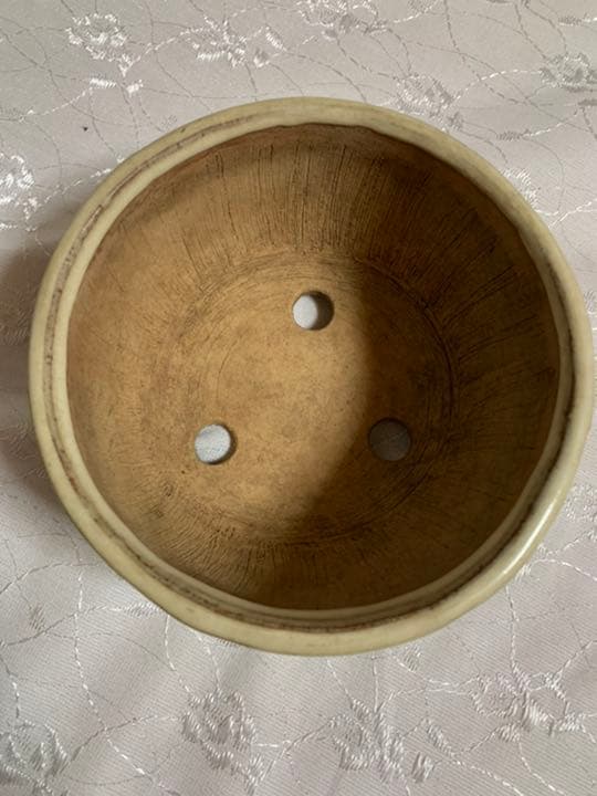 富舟　丸　盆栽鉢