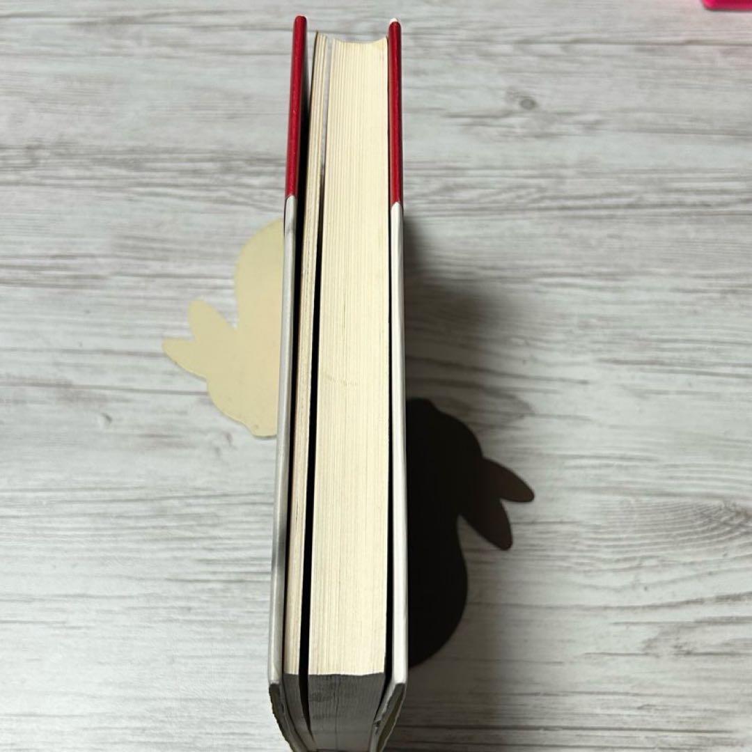 【メルカリ便】円の支配者 : 誰が日本経済を崩壊させたのか　リチャード　希少