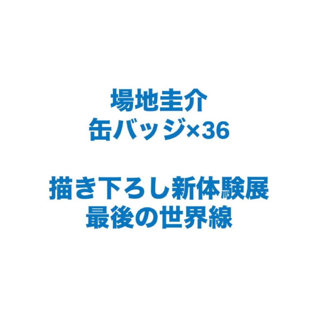 場地圭介　缶バッジ×36 最後の世界線