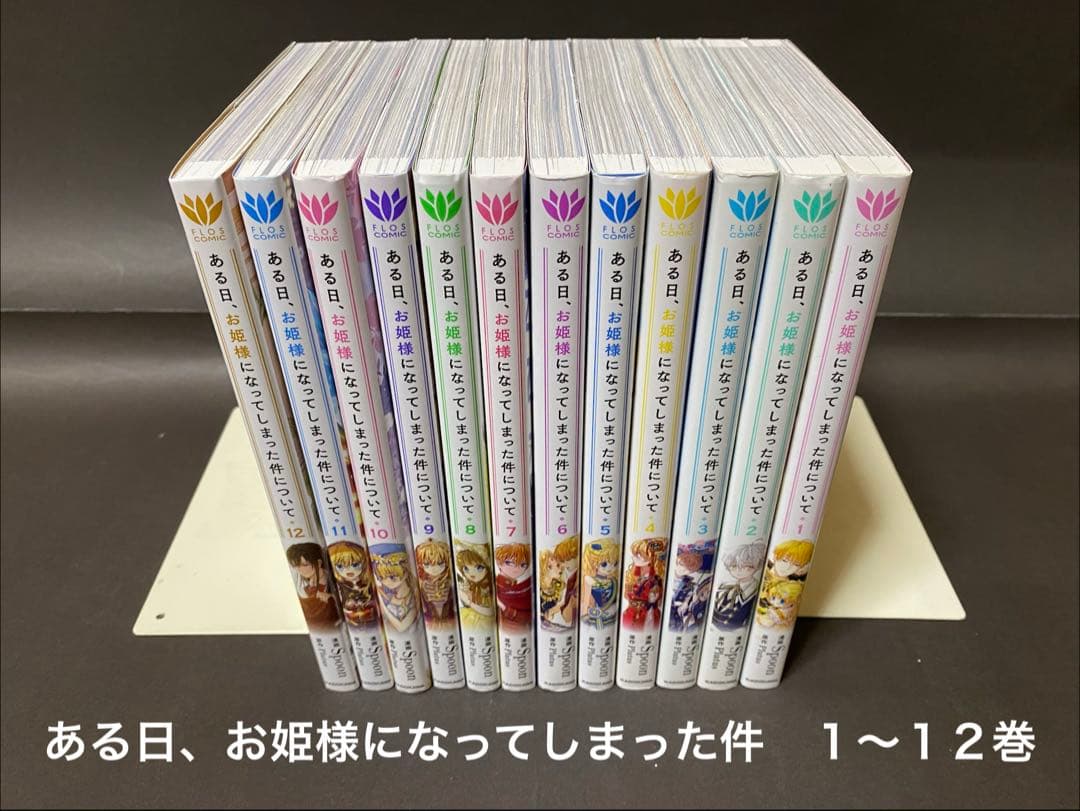 ある日、お姫様になってしまった件について（１〜１２巻、全巻セット）