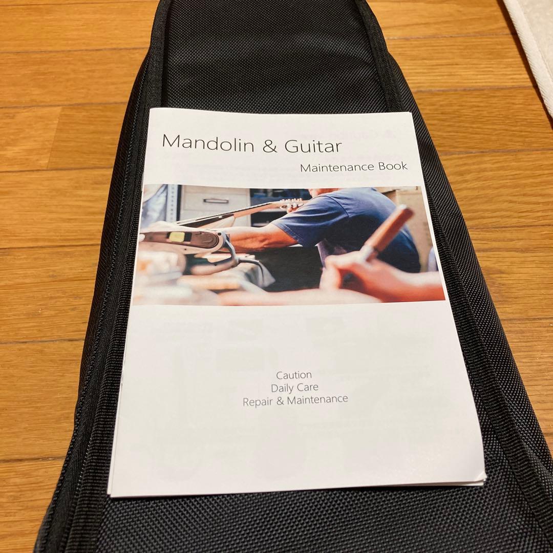 イケガクのフラットマンドリン