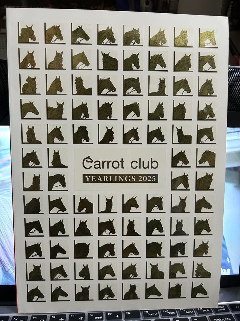 るるにゃんCarrot Club Yearlings 2025 カタログ
