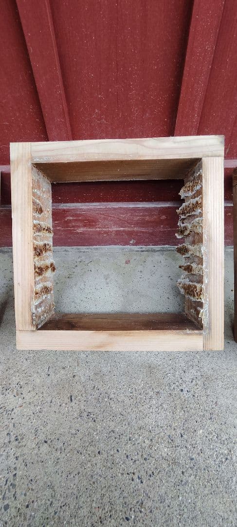 日本蜜蜂中古巣箱　分蜂捕獲セット　ミツロウ