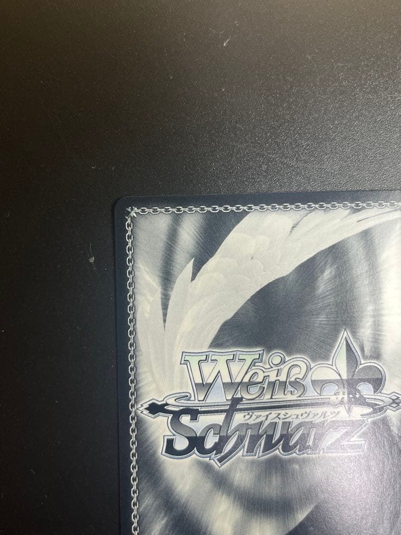 ヴァイスシュヴァルツ　SP ヒンデンブルク