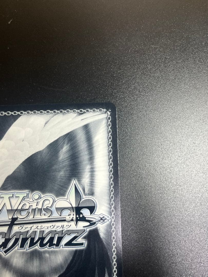 ヴァイスシュヴァルツ　SP ヒンデンブルク