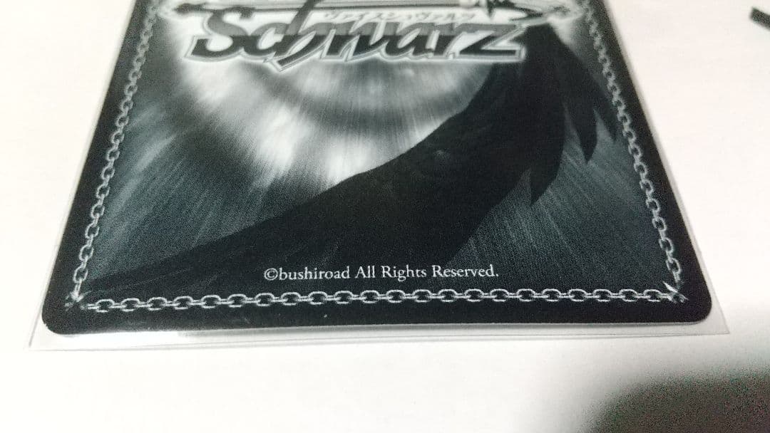 サレン&スズメ SP