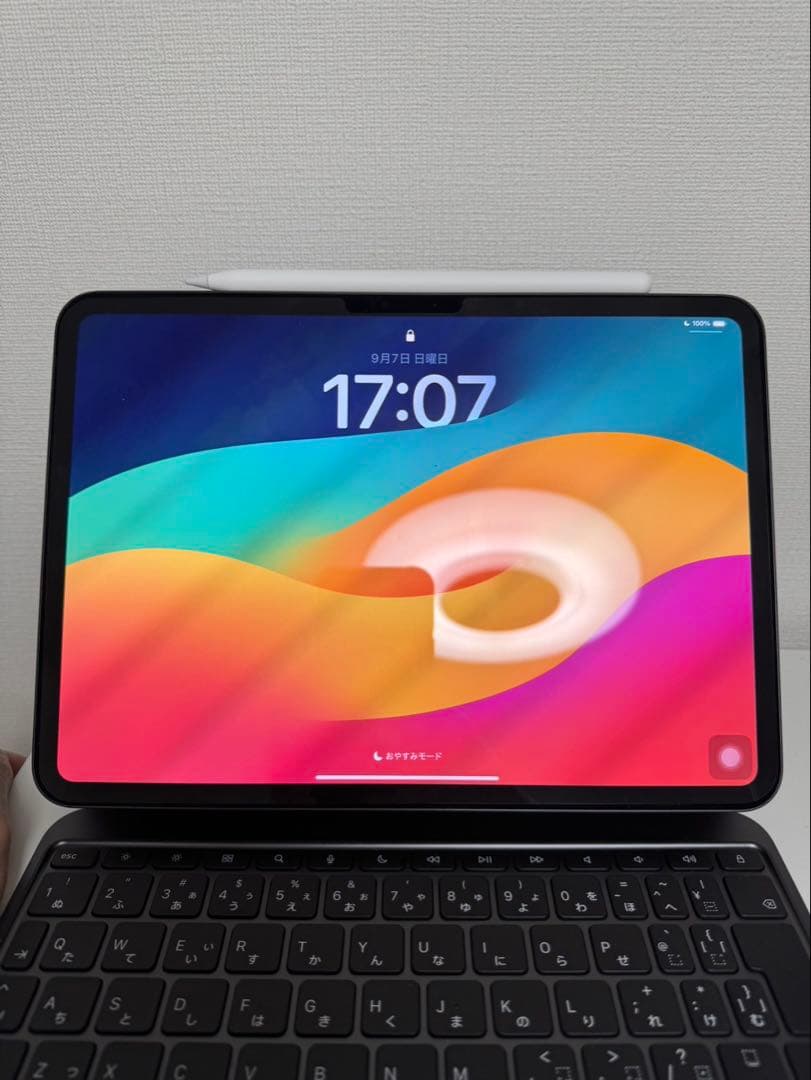 白鳥　iPad Pro M4 11インチ　256GB 本体のみ